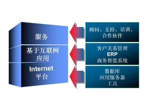 Oracle電子商務(wù)平臺(tái)建設(shè)與CRM客戶(hù)管理系統(tǒng)整合方案建議書(shū)